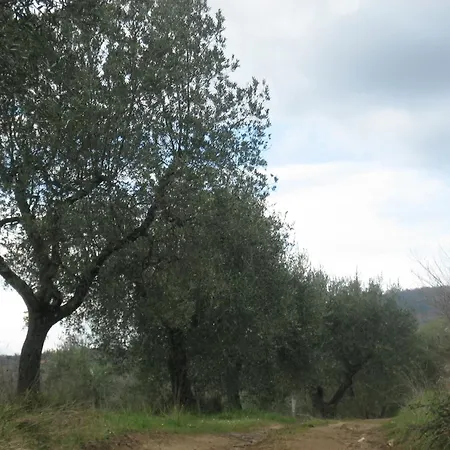 Alloggio per agriturismo Casa Fibbianello