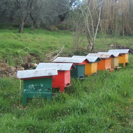 Alloggio per agriturismo Casa Fibbianello Semproniano