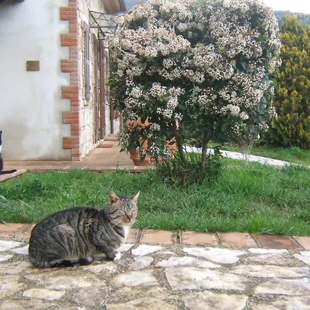 Casa Fibbianello Semproniano