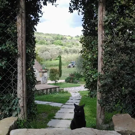 Alloggio per agriturismo Casa Fibbianello Semproniano